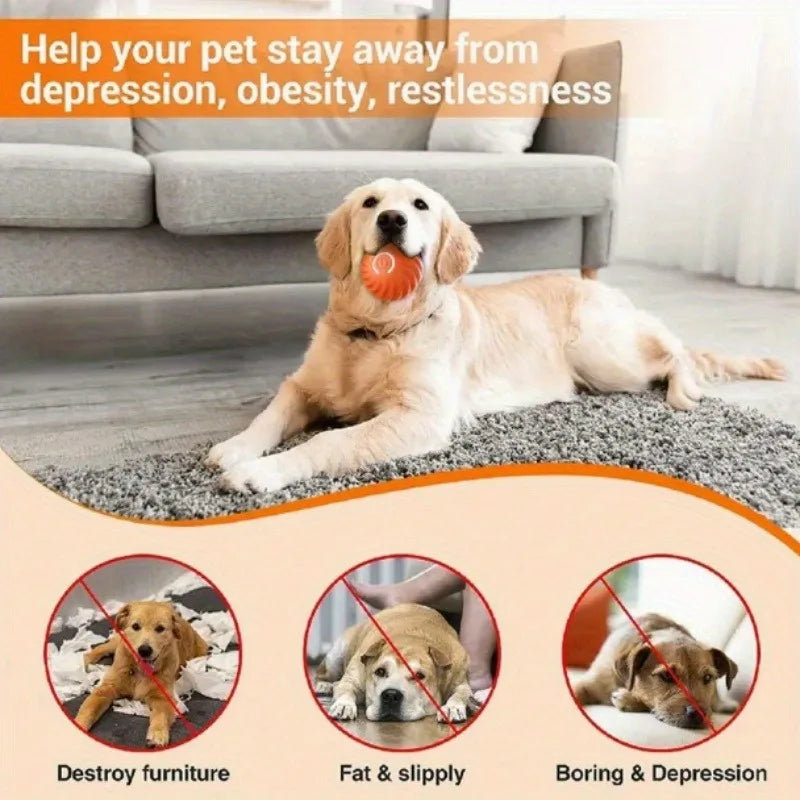 1/5/10PCS Blue Orange Pet Toy Ball Plastic Rechargeable Cat and Dog Toy Suitable for Home and Outdoors