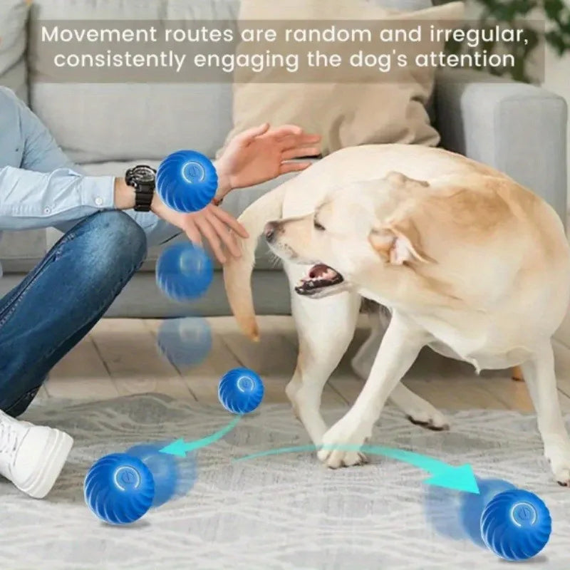 1/5/10PCS Blue Orange Pet Toy Ball Plastic Rechargeable Cat and Dog Toy Suitable for Home and Outdoors