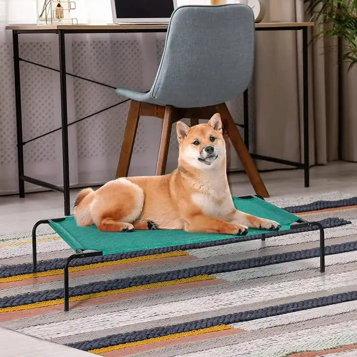 Elevated Dog Bed Cooling Raised Dog Cot Indoor Outdoor Waterproof Dog Cat Bed Portable Pet Cot for Small Medium Dogs Cats, Green