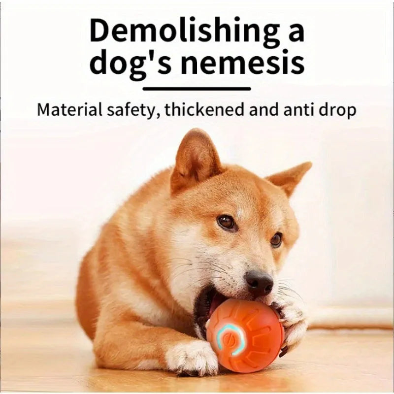 1/5/10PCS Blue Orange Pet Toy Ball Plastic Rechargeable Cat and Dog Toy Suitable for Home and Outdoors