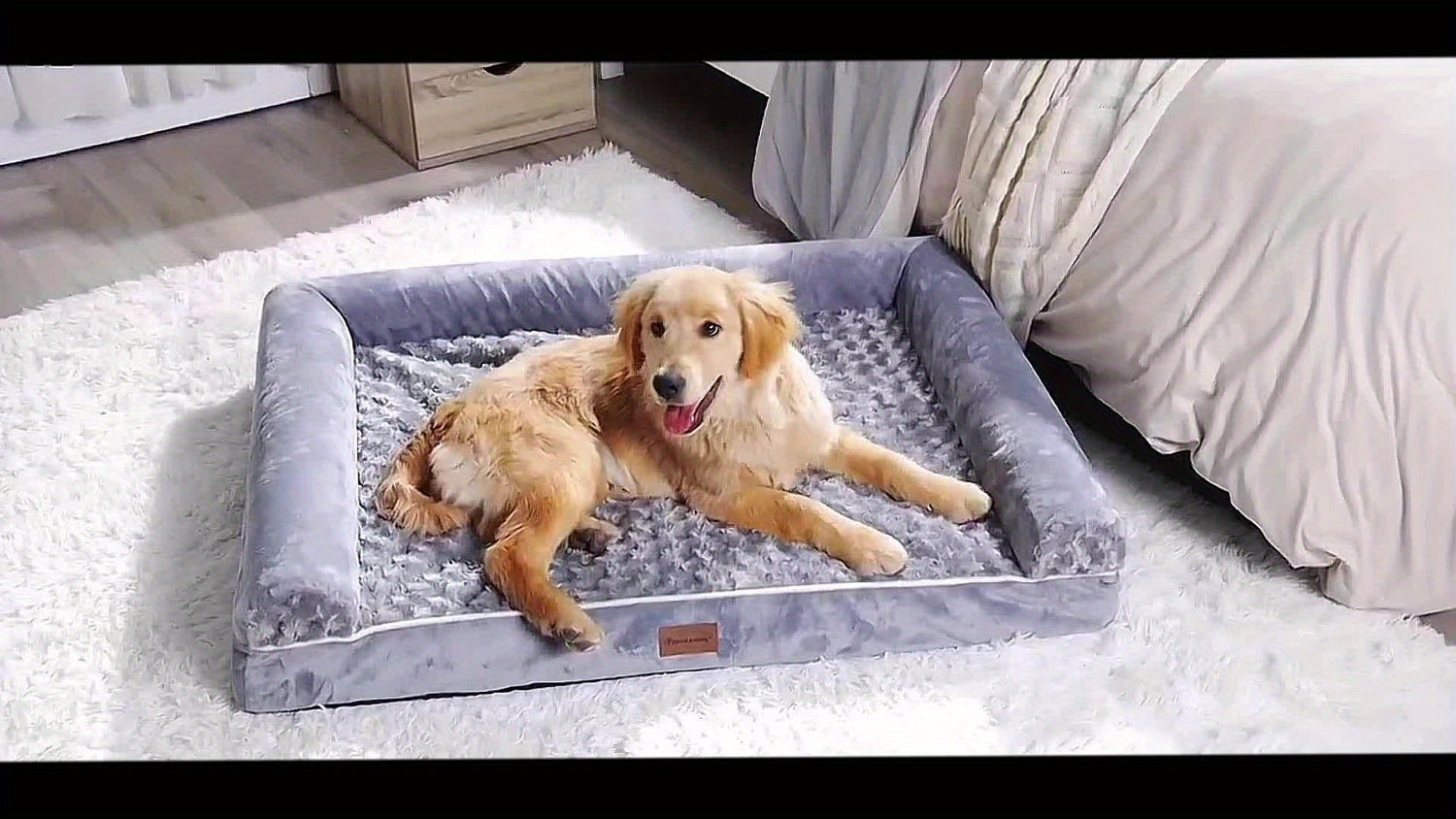 Dog beds
