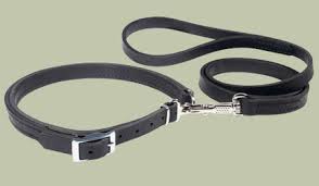 Collars/Leashes