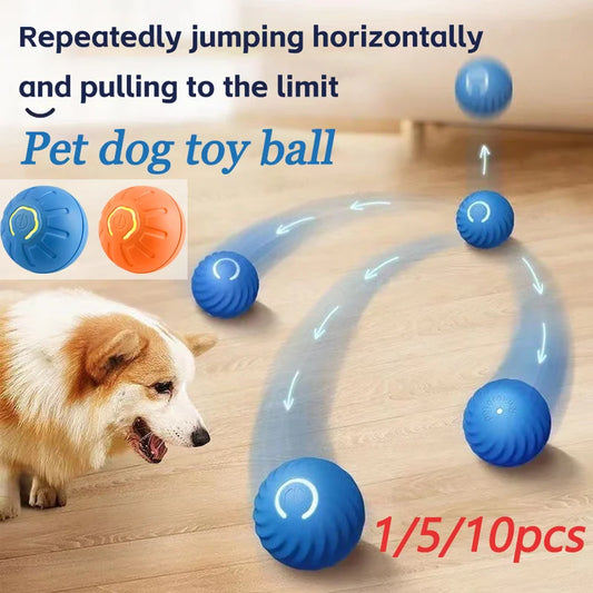 1/5/10PCS Blue Orange Pet Toy Ball Plastic Rechargeable Cat and Dog Toy Suitable for Home and Outdoors