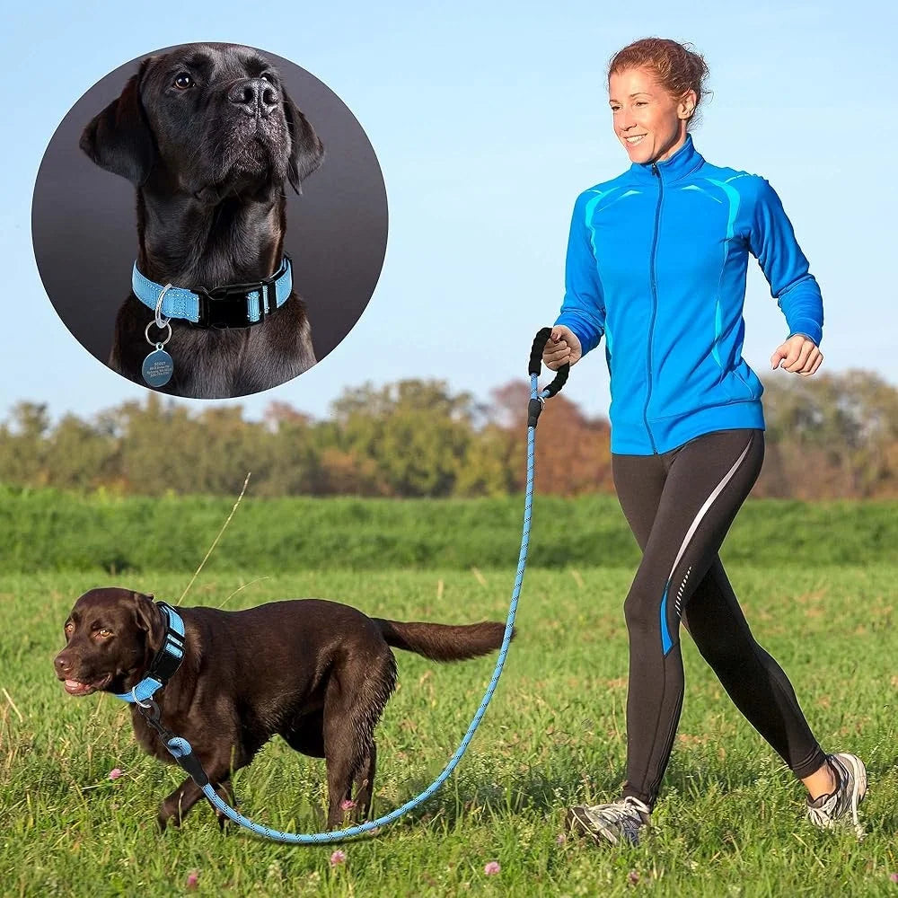 Adjustable Reflective Dog Collar Padded Neoprene Durable Nylon Small Medium Large Dogs with Bonus 5ft Leash